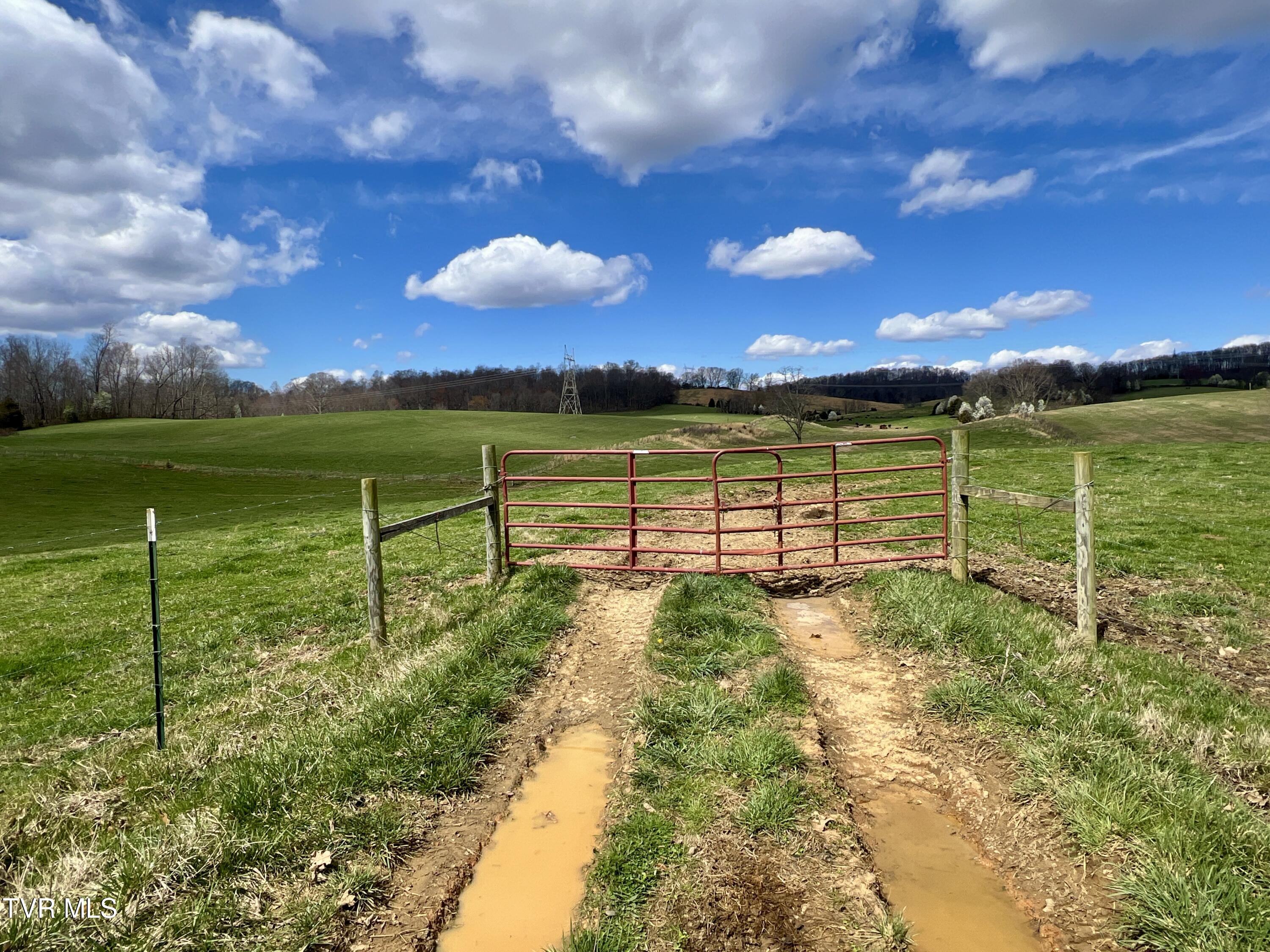 88/Ac Tbd Hwy 93, Fall Branch, Tennessee image 3