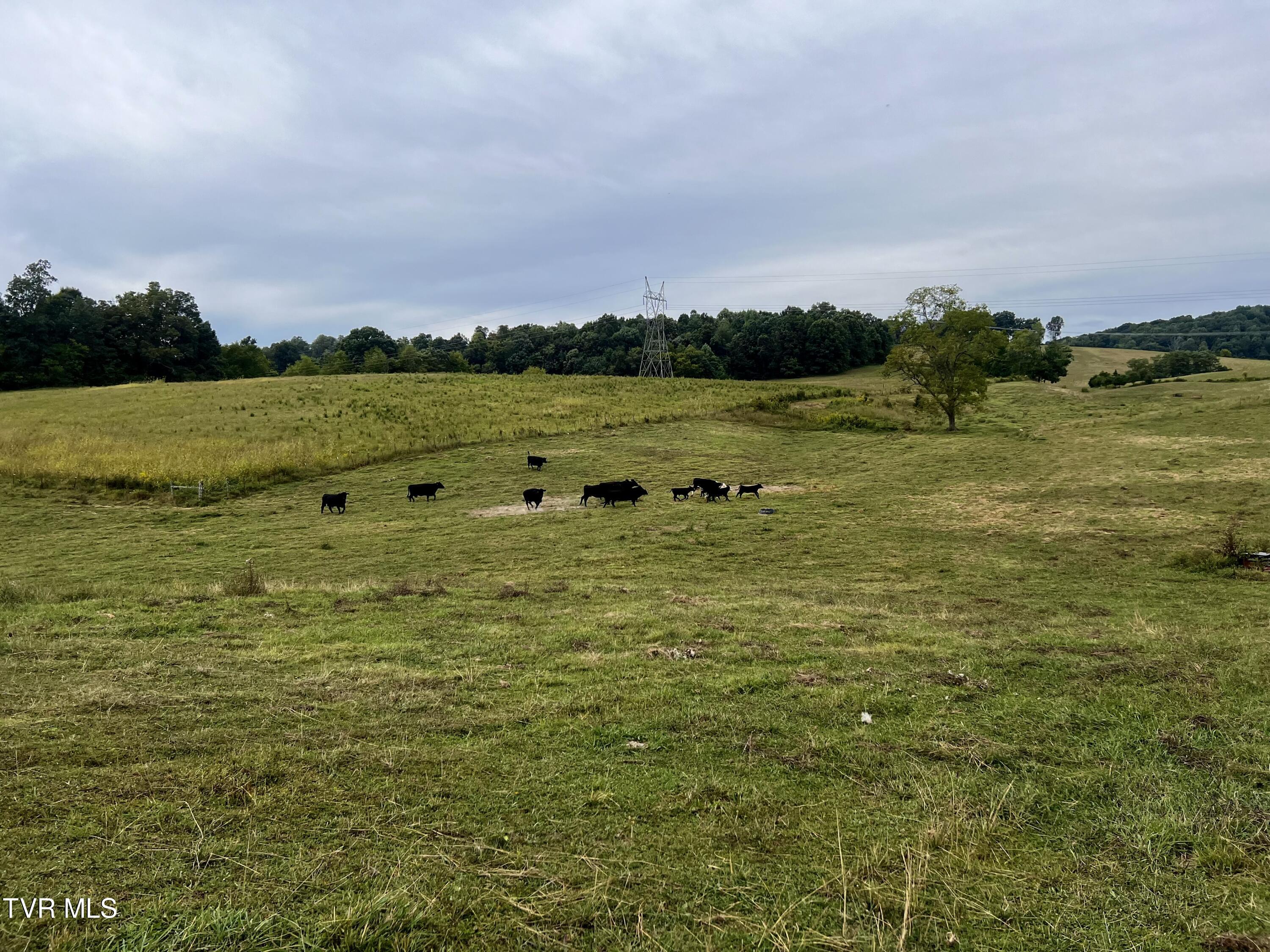 88/Ac Tbd Hwy 93, Fall Branch, Tennessee image 41