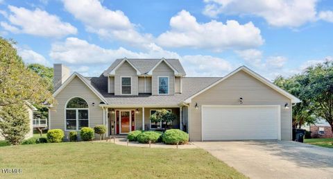 Photo of 31 Colricia Drive, Greeneville, TN 37745 (MLS # 9986979)