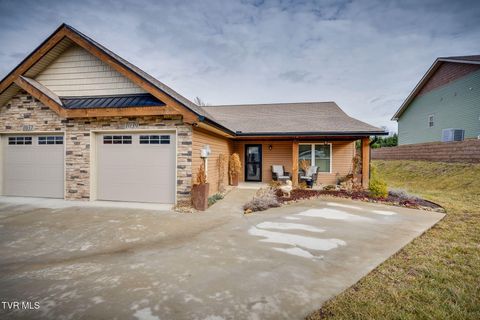 Photo of 1039 Traders Walk, Johnson City, TN 37601 (MLS # 9988235)