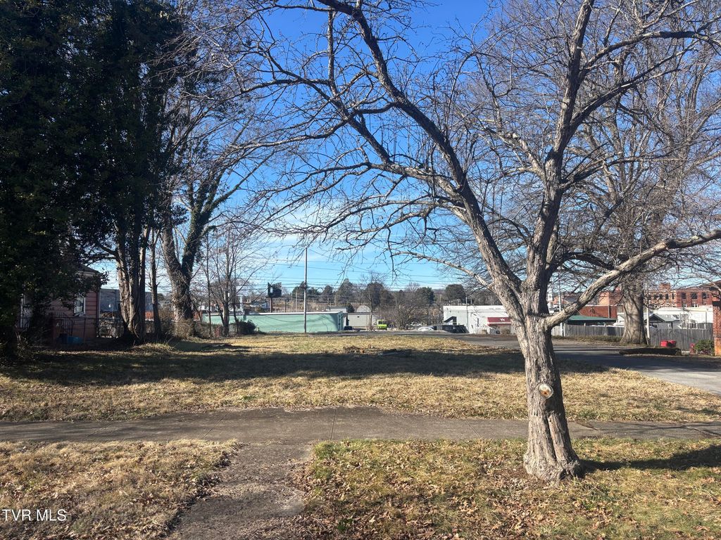 Photo of 416 Maple Street, Johnson City, TN 37604 (MLS # 9991188)