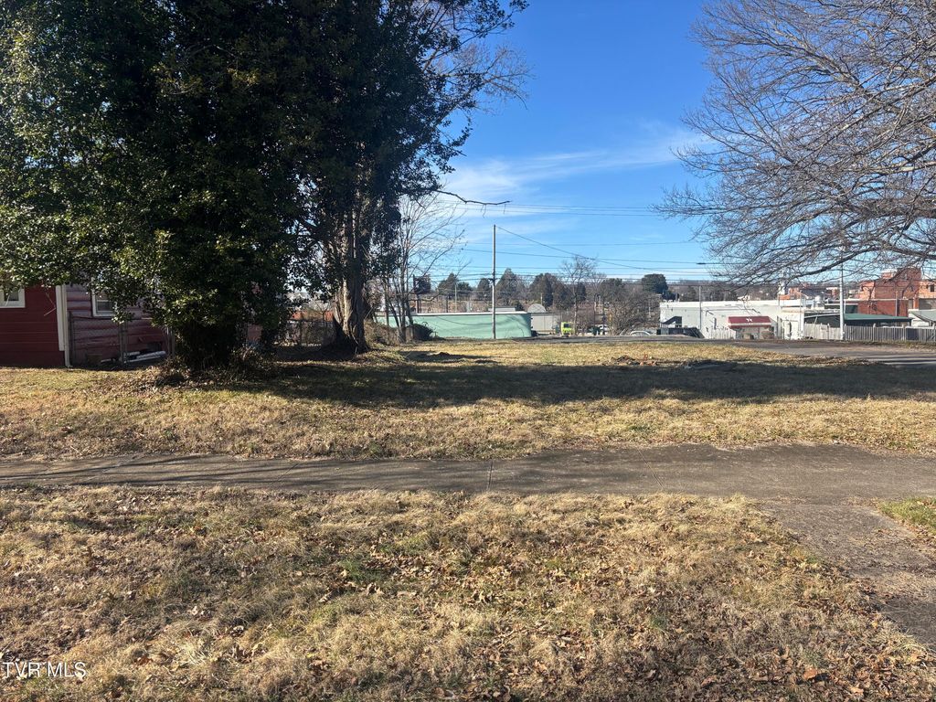 Photo of 416 Maple Street, Johnson City, TN 37604 (MLS # 9991188)