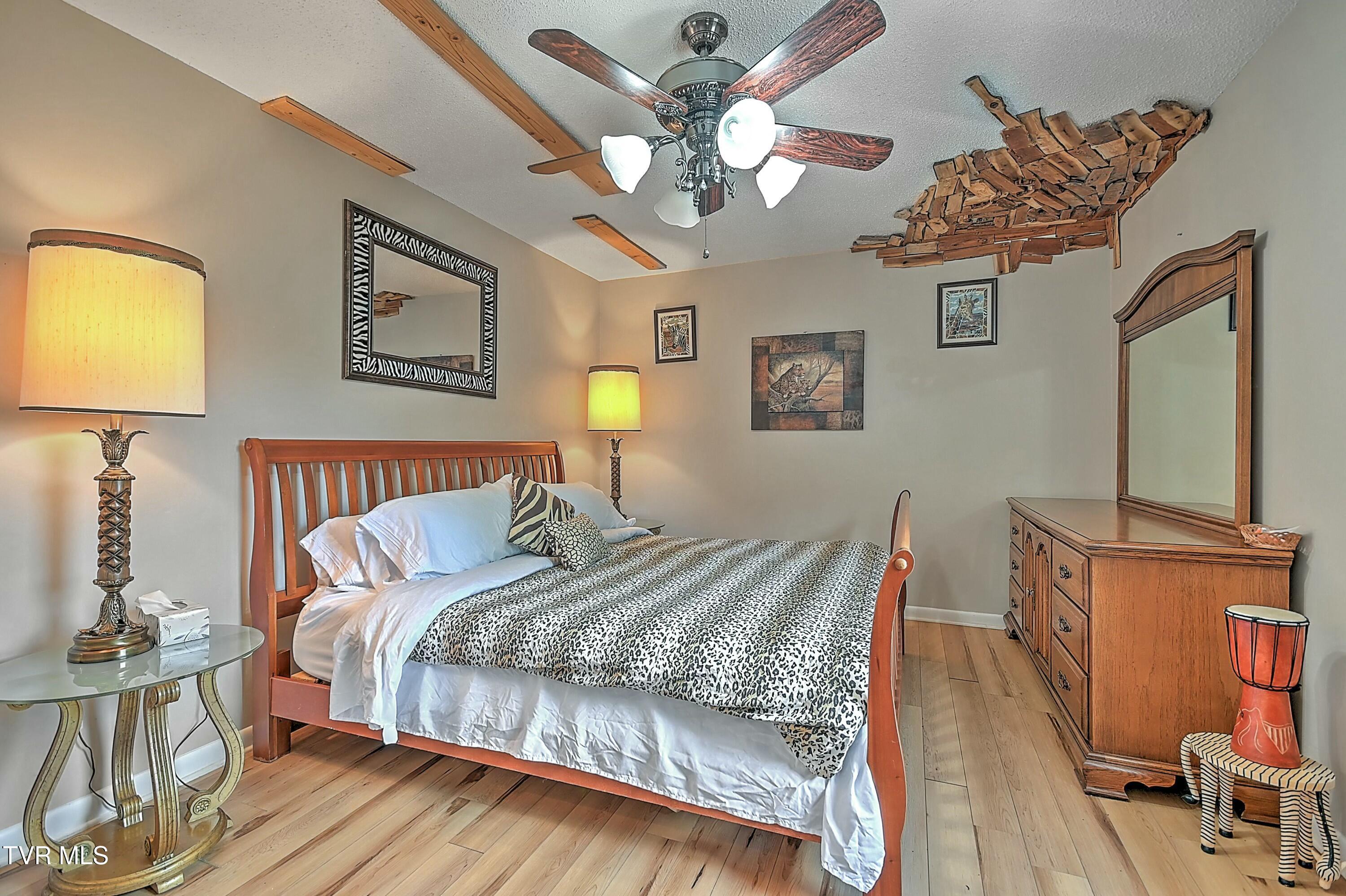 28248 Hillman Highway, Meadowview, Virginia image 48