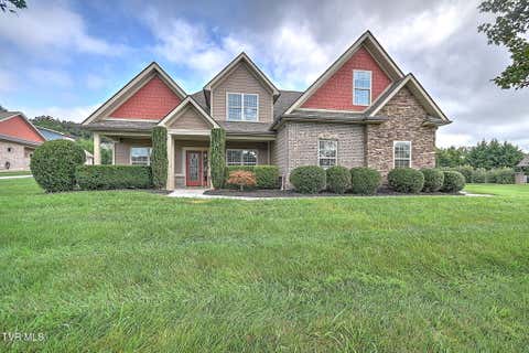 Photo of 204 Hawthorne Court, Greeneville, TN 37745 (MLS # 9998624)