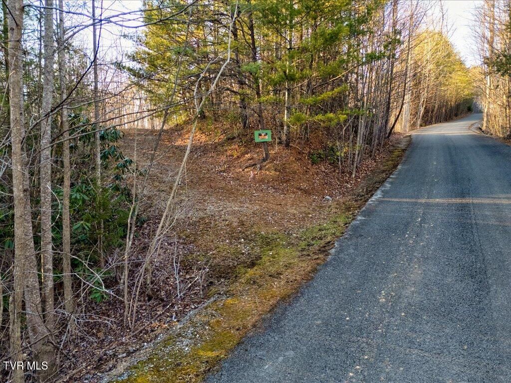 Photo of 31 Sonshine Ridge Road, Cosby, TN 37722 (MLS # 9990484)