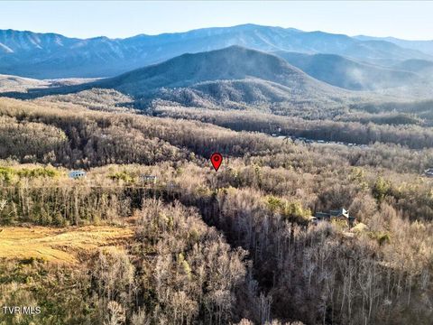 Vacant Land For Sale - LOT 31 Sonshine Ridge Road<br/> Cosby, TN 37722