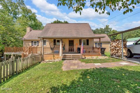 Homes For Sale - 133 Deacon Creek Road<br/> Erwin, TN 37650