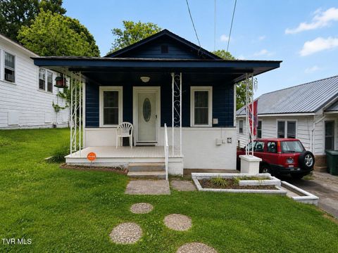 Photo of 617 Roan Street, Elizabethton, TN 37643 (MLS # 9996232)