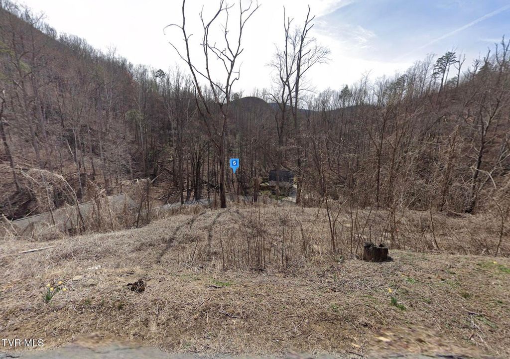 Photo of 810 Park Drive, Gatlinburg, UT 37738 (MLS # 9989399)