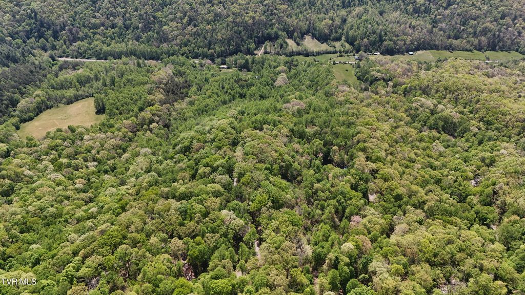 Photo of Tbd Swinging Bridge Road, Mendota, VA 24270 (MLS # 9994619)