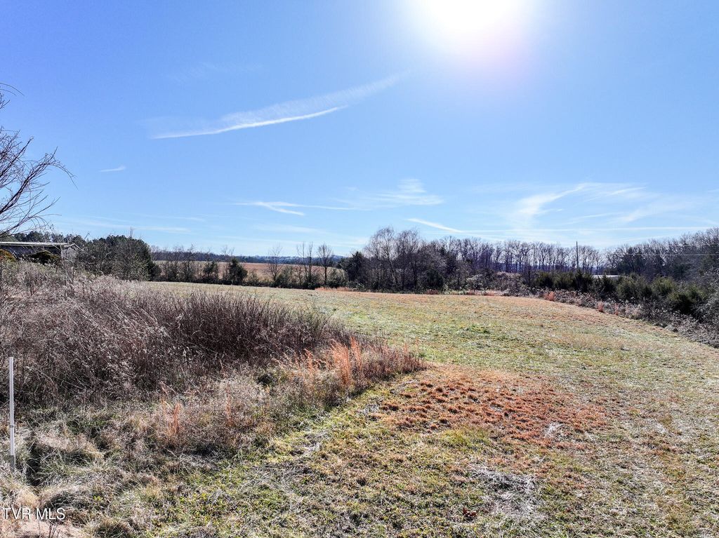 Photo of 1255 Carpenters Chapel Road, Mosheim, TN 37818 (MLS # 9989537)