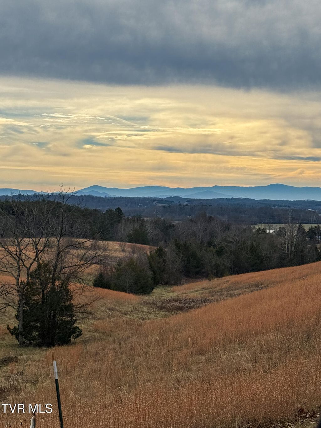 Photo of 1255 Carpenters Chapel Road, Mosheim, TN 37818 (MLS # 9989537)