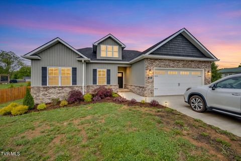 Photo of 225 Old Stage Road, Johnson City, TN 37615 (MLS # 9994666)