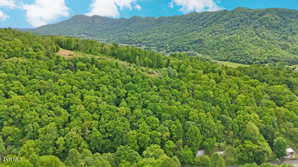 Tbd Reed Hollow Road, Gate City, Virginia image 3