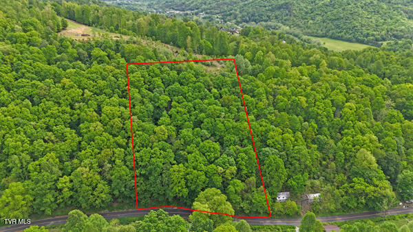 Tbd Reed Hollow Road, Gate City, Virginia image 1