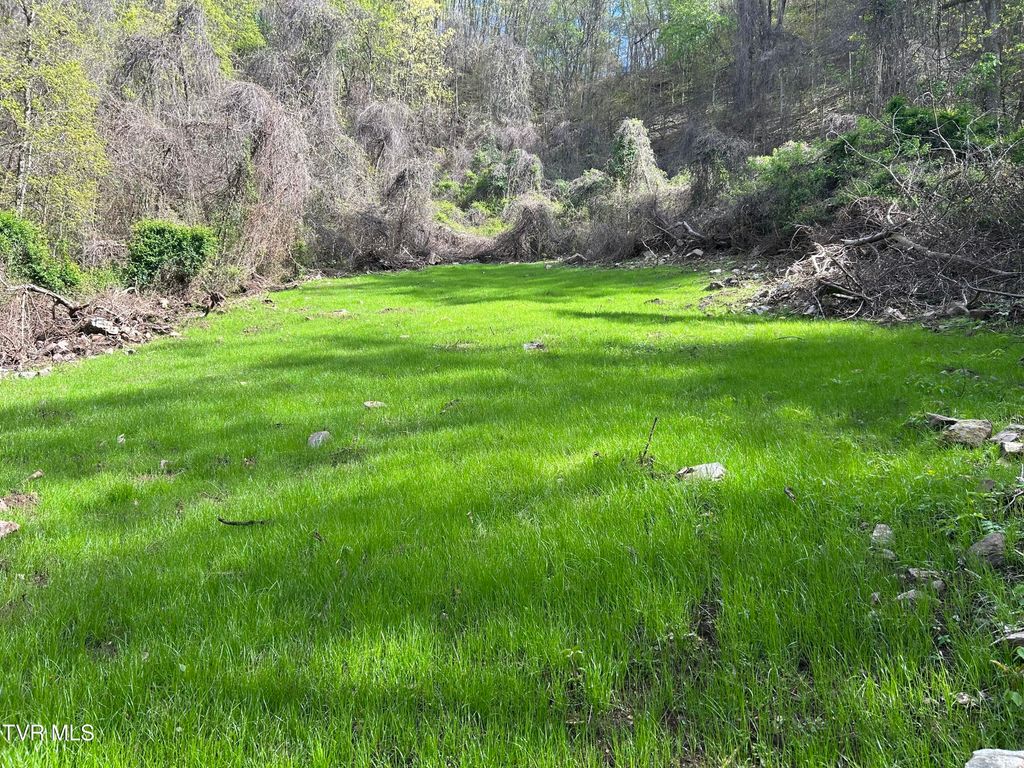 Photo of 0 Christians Bend Road, Church Hill, TN 37642 (MLS # 9990652)