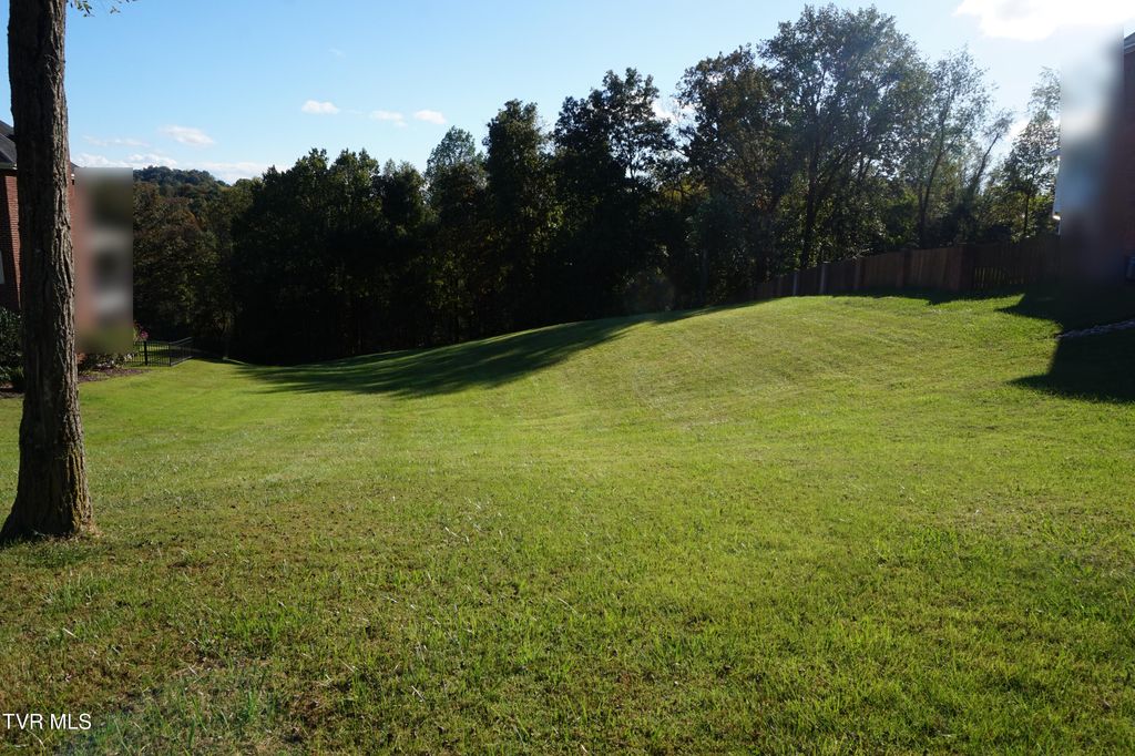 Photo of 256 Park Ridge Court, Kingsport, TN 37664 (MLS # 9986896)