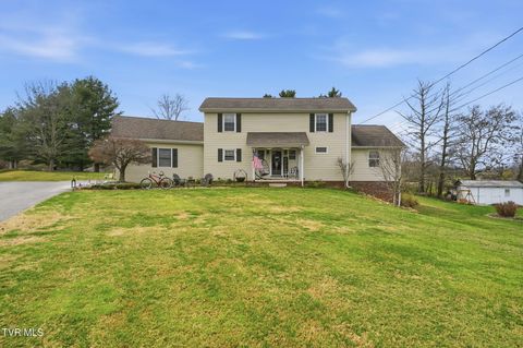 134 Ovalwood Drive Johnson City TN 37615