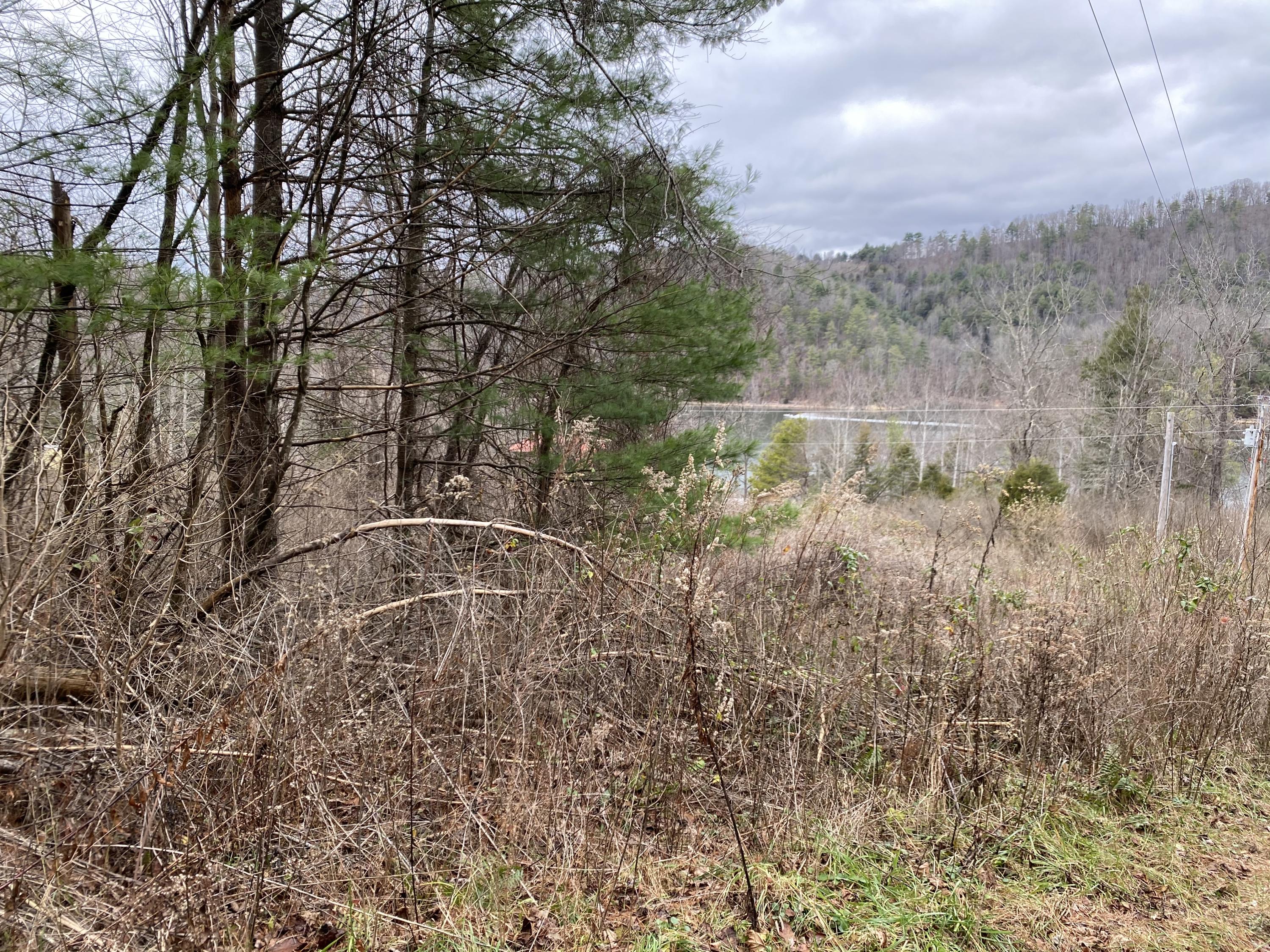 Tbd Buntontown & Norris Road, Butler, Tennessee image 12