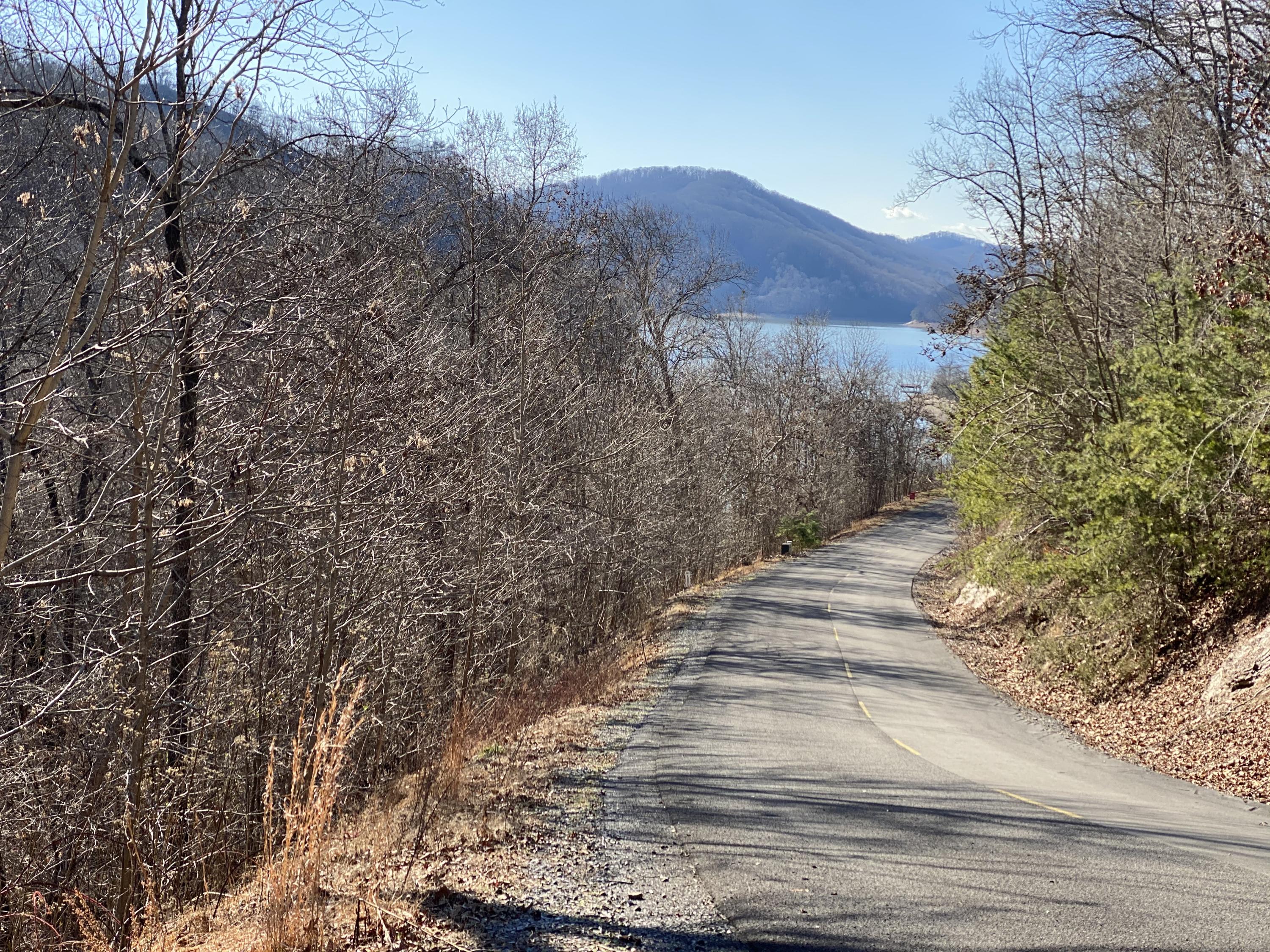 Tbd Buntontown & Norris Road, Butler, Tennessee image 9