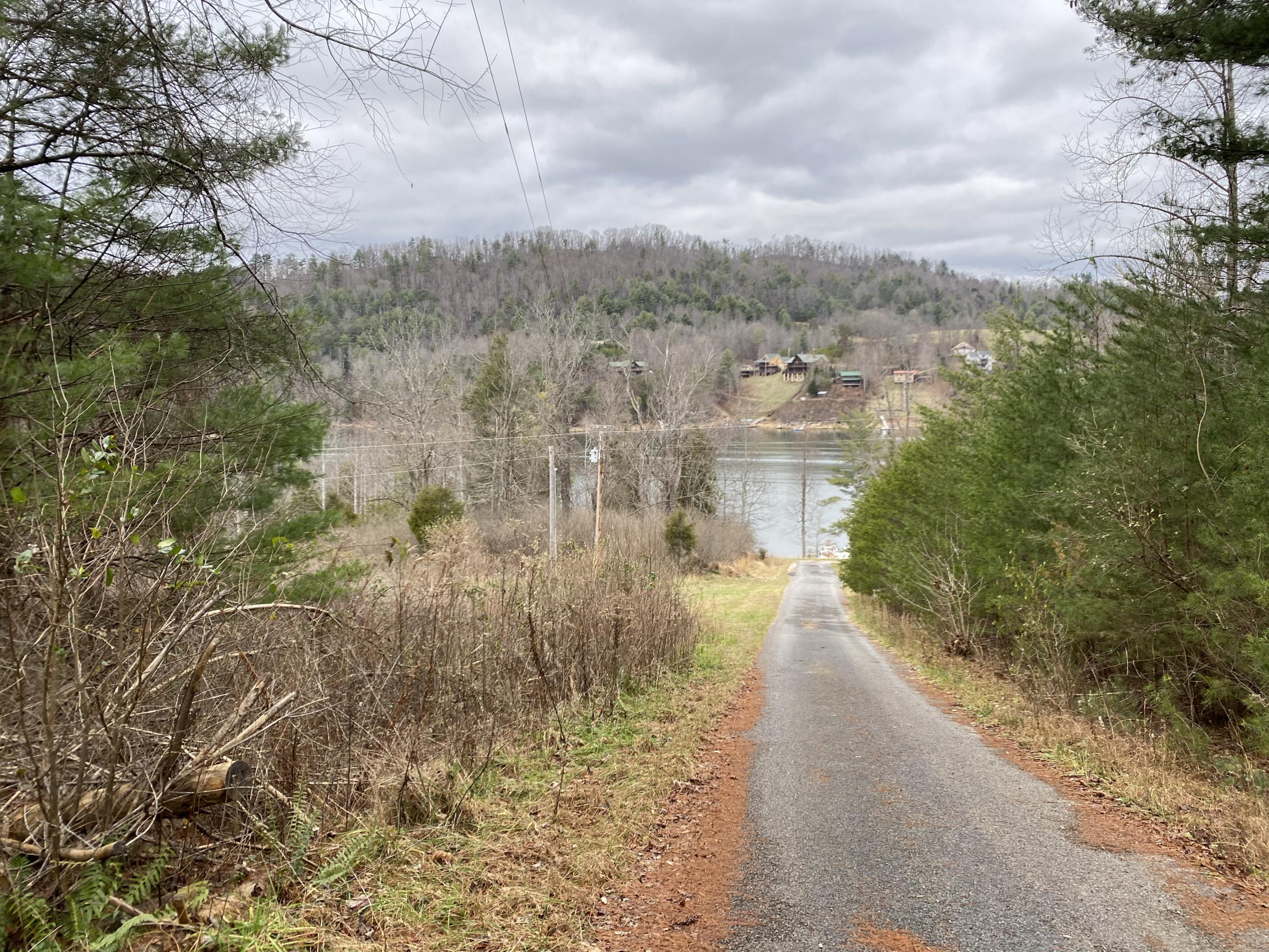 Tbd Buntontown & Norris Road, Butler, Tennessee image 18