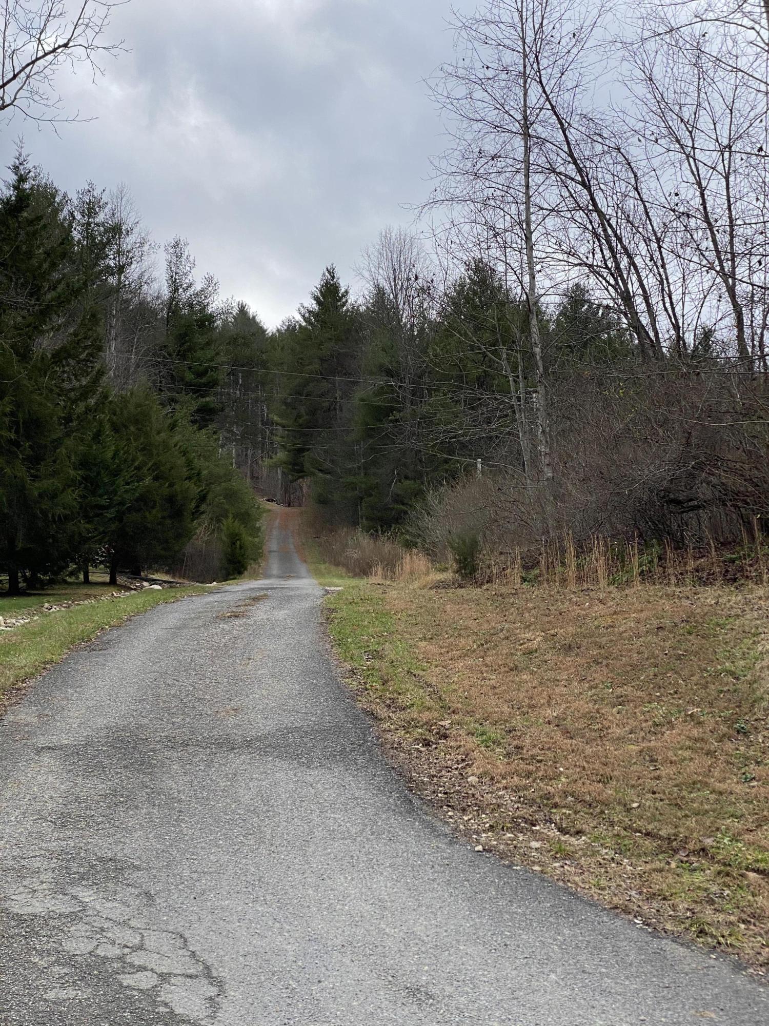 Tbd Buntontown & Norris Road, Butler, Tennessee image 15