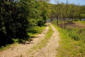 Tbd Buntontown & Norris Road, Butler, Tennessee image 8