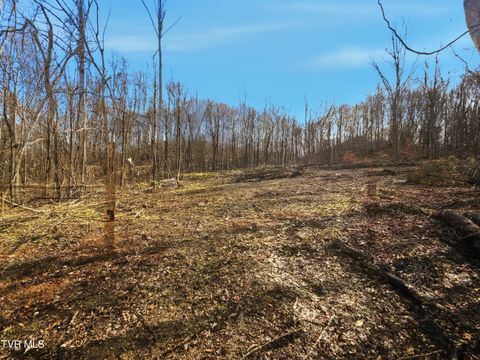 Vacant Land For Sale - 270 Freedom Road<br/> Limestone, TN 37681