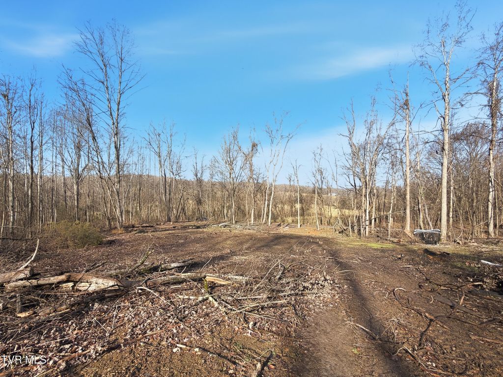 Photo of 270 Freedom Road, Limestone, TN 37681 (MLS # 9989322)