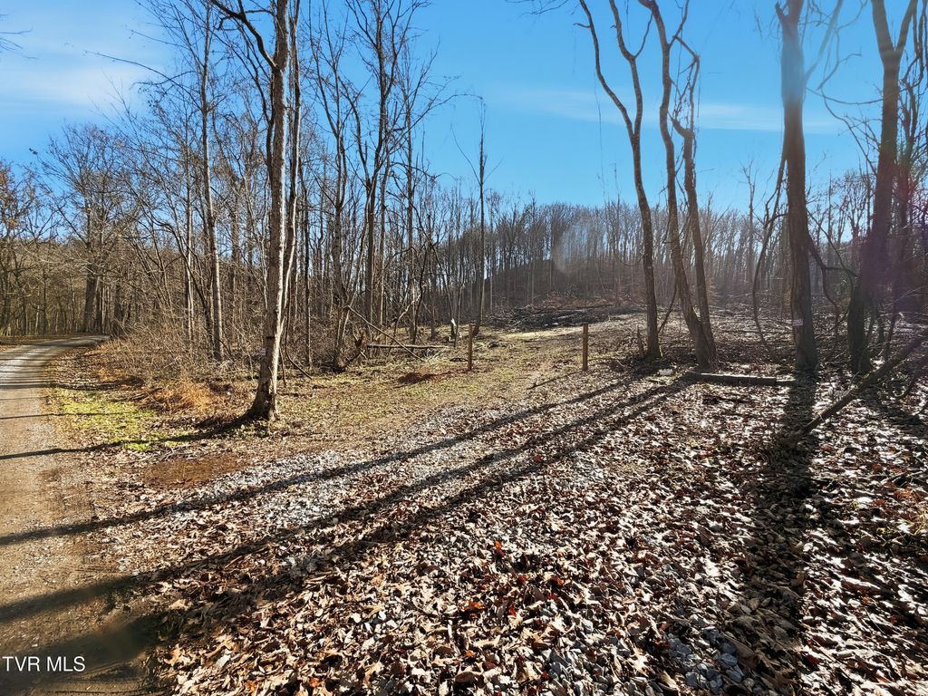 Photo of 270 Freedom Road, Limestone, TN 37681 (MLS # 9989322)