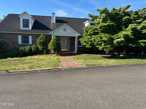 Photo of 261 Hillmore Drive, Mountain City, TN 37683 (MLS # 9995616)