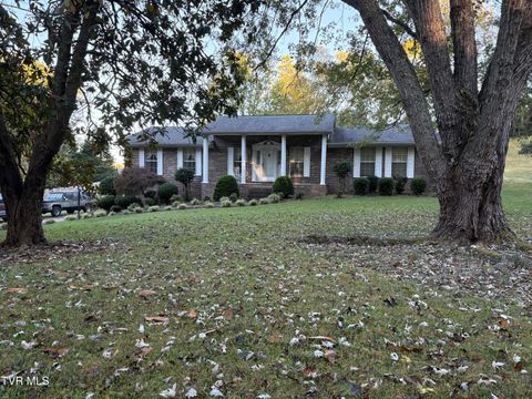 Photo of 1238 Tanglewood Drive, Greeneville, TN 37743 (MLS # 9986969)