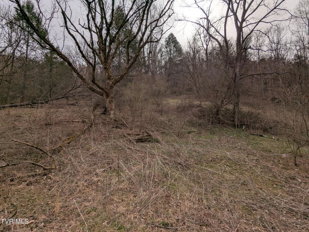 Photo of 1674 Shavers Ford Road, Jonesville, VA 24263 (MLS # 9990975)