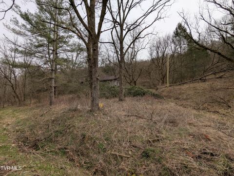 Vacant Land For Sale - 1674 Shavers Ford Road<br/> Lee County, Jonesville, VA 24263