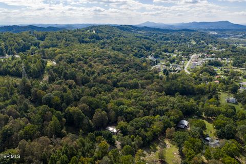 Tiny photo for 192 Stage Road, Kingsport, TN 37664 (MLS # 9986449)