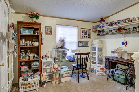 Tiny photo for 192 Stage Road, Kingsport, TN 37664 (MLS # 9986449)
