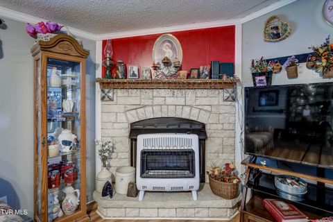 Tiny photo for 192 Stage Road, Kingsport, TN 37664 (MLS # 9986449)