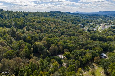 Tiny photo for 192 Stage Road, Kingsport, TN 37664 (MLS # 9986449)