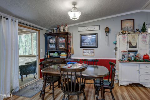 Tiny photo for 192 Stage Road, Kingsport, TN 37664 (MLS # 9986449)