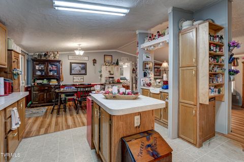 Tiny photo for 192 Stage Road, Kingsport, TN 37664 (MLS # 9986449)