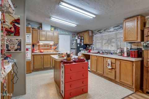 Tiny photo for 192 Stage Road, Kingsport, TN 37664 (MLS # 9986449)