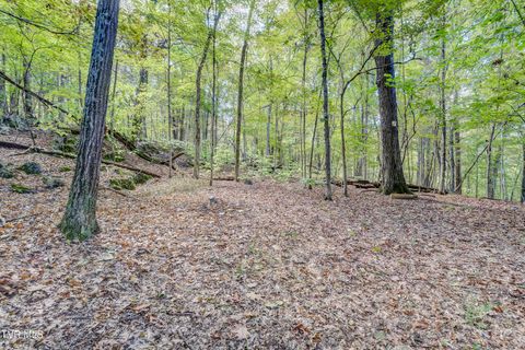 Tiny photo for 192 Stage Road, Kingsport, TN 37664 (MLS # 9986449)
