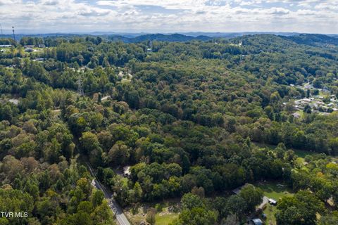 Tiny photo for 192 Stage Road, Kingsport, TN 37664 (MLS # 9986449)