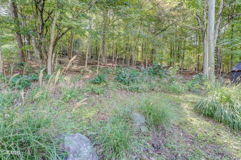 Tiny photo for 192 Stage Road, Kingsport, TN 37664 (MLS # 9986449)