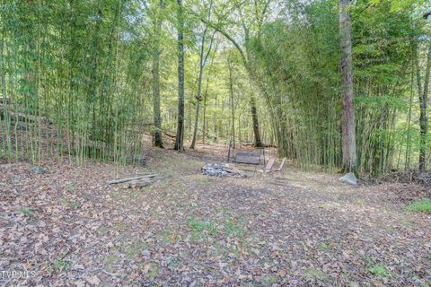 Tiny photo for 192 Stage Road, Kingsport, TN 37664 (MLS # 9986449)