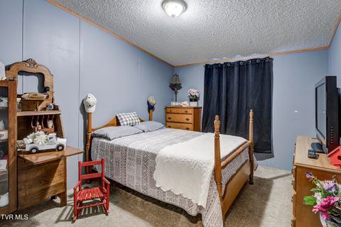 Tiny photo for 192 Stage Road, Kingsport, TN 37664 (MLS # 9986449)