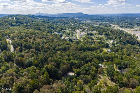 Tiny photo for 192 Stage Road, Kingsport, TN 37664 (MLS # 9986449)