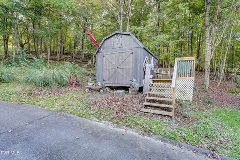 Tiny photo for 192 Stage Road, Kingsport, TN 37664 (MLS # 9986449)