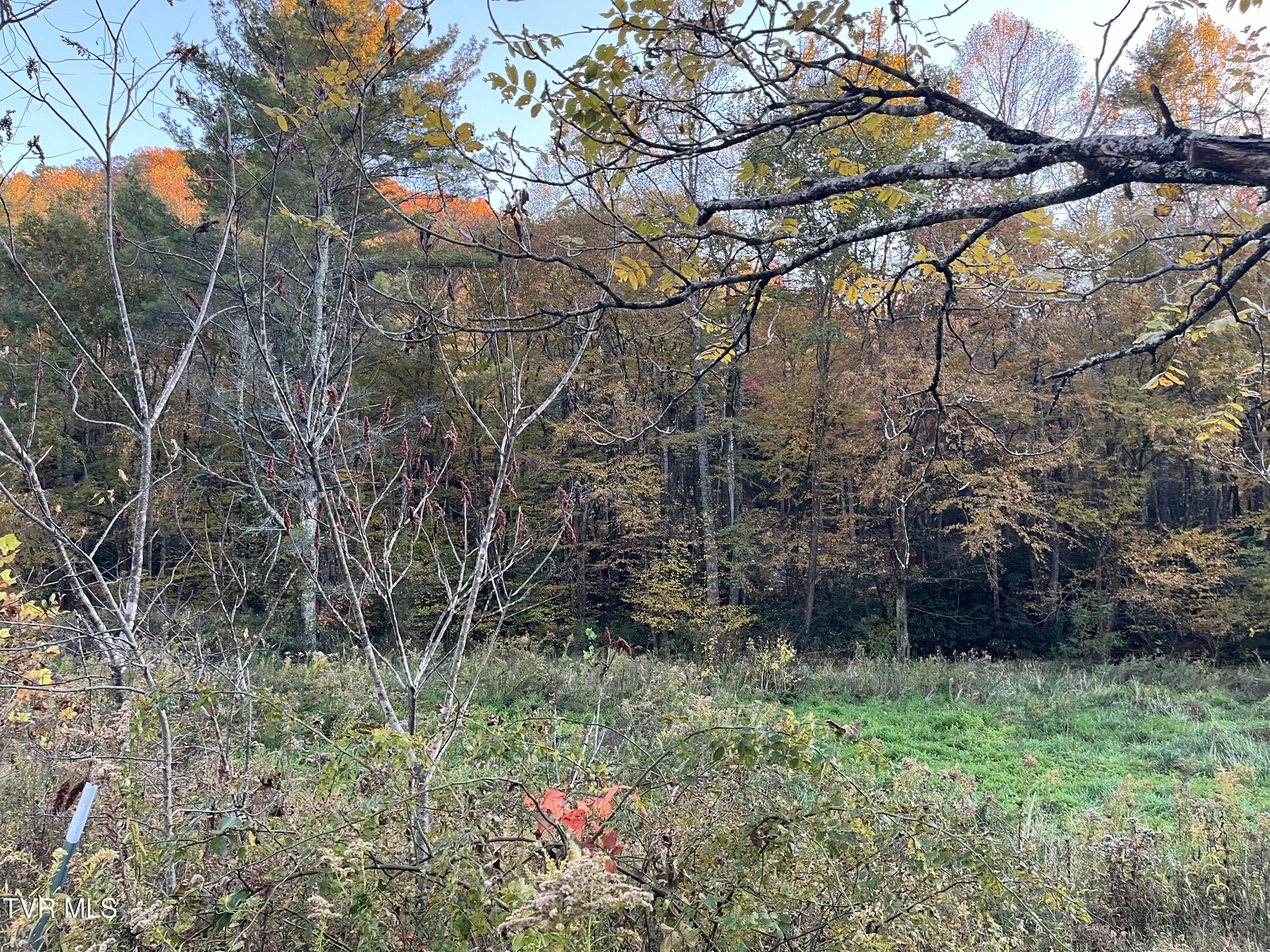 870 Furnace Creek Road, Mountain City, Tennessee image 3