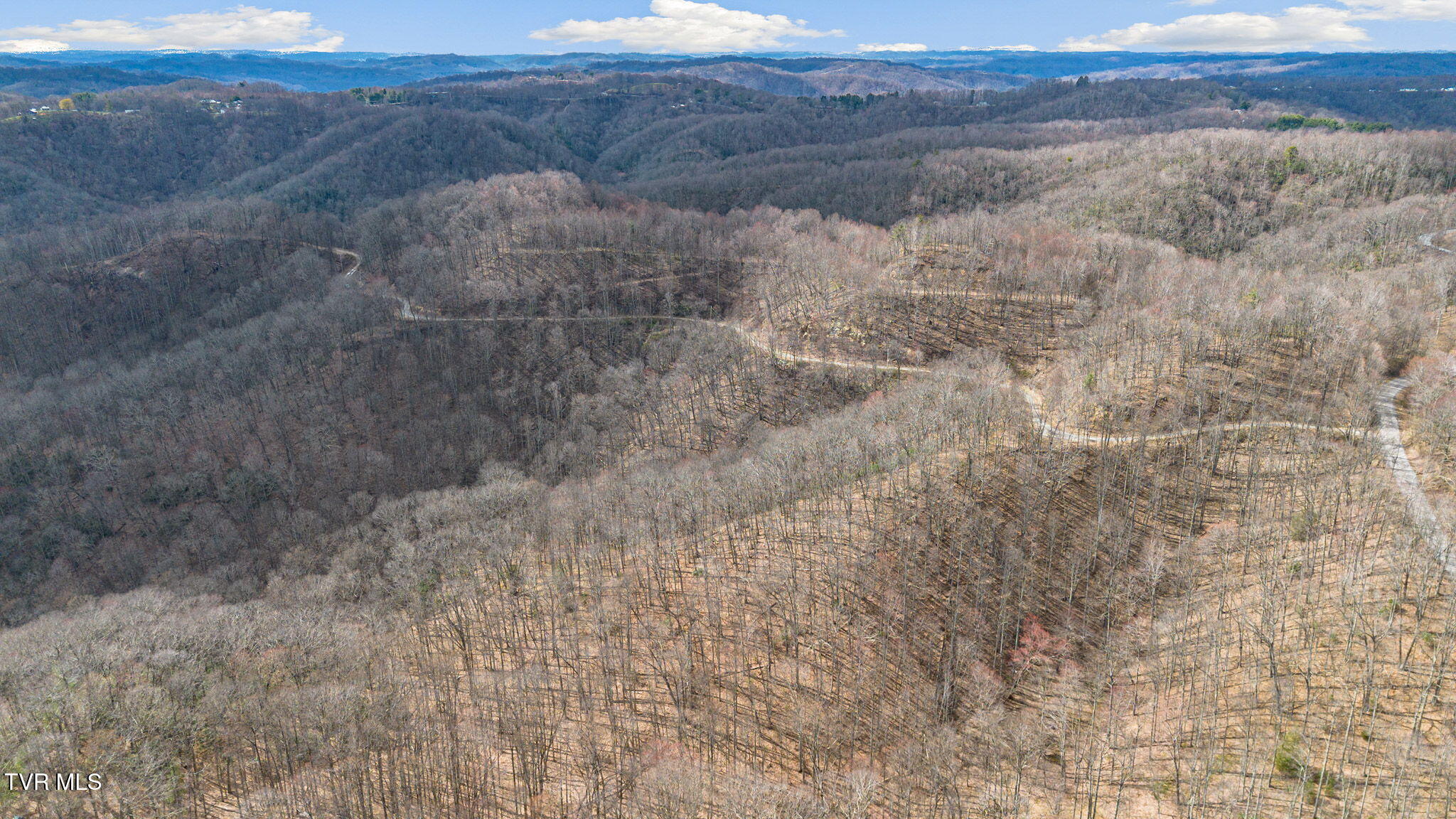 1 Reynolds Ridge Road, Cedar Bluff, Virginia image 3